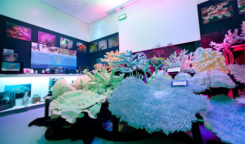 Marine Discovery Centre Hastings Point - Attractions Sydney 2