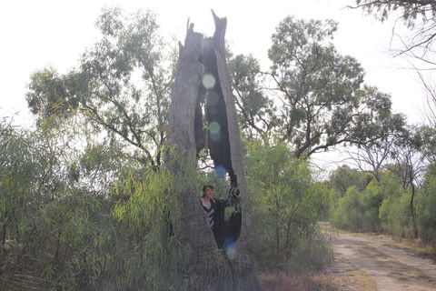 Martin Bend Wetland And Walking Trail - Attractions Sydney 1