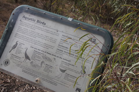 Martin Bend Wetland And Walking Trail - Attractions Sydney 2