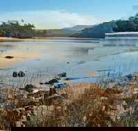 Merrica River Nature Trail - Attractions Sydney