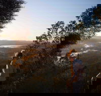 Mount Arthur Reserve - Attractions Sydney