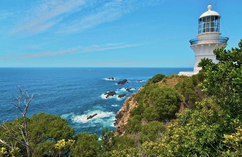 Myall Lakes National Park - Attractions Sydney 1