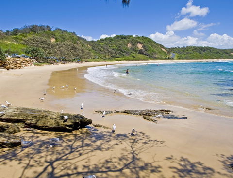 Nambucca Heads Beaches - Attractions Sydney 0