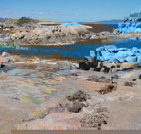 Nanarup Beach - Attractions Sydney