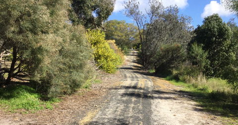 Naracoorte North Nature Park - Attractions Sydney 0