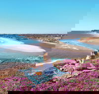 Port Noarlunga - Attractions Sydney