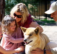 Potoroo Palace Native Animal Sanctuary - Attractions Sydney
