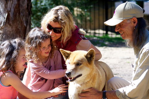 Potoroo Palace Native Animal Sanctuary - Attractions Sydney 0