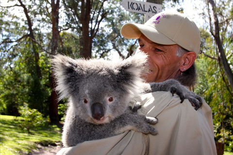 Potoroo Palace Native Animal Sanctuary - Attractions Sydney 2