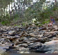 Rocksberg Park Heritage Reserve - Attractions Sydney