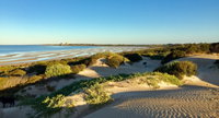 Shelly Beach Dune Walk Trail