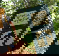 Sunshine Coast Hinterland Great Walk - Attractions Sydney