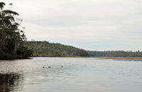 Book Lake Tabourie Accommodation Vacations Attractions Sydney Attractions Sydney
