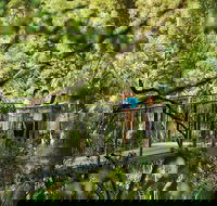 Tamborine Mountain - Attractions Sydney