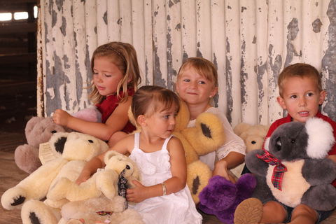 Tambo Teddies - Attractions Sydney 0