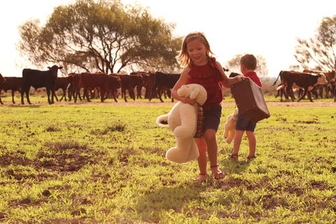Tambo Teddies - Attractions Sydney 1