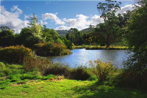 Tasmanian Arboretum Inc. - The - Attractions Sydney 0