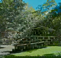Terania Creek Picnic Area - Attractions Sydney