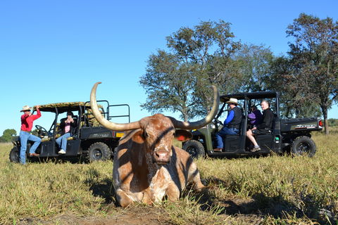Texas Longhorn Tours - Attractions Sydney 1