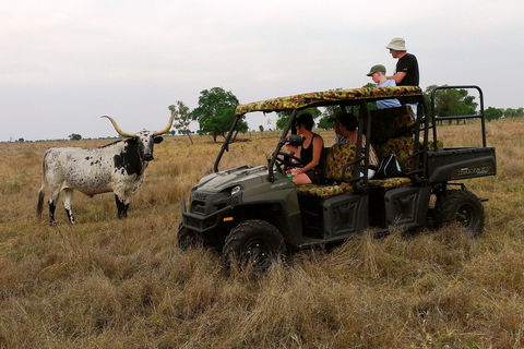 Texas Longhorn Tours - Attractions Sydney 2