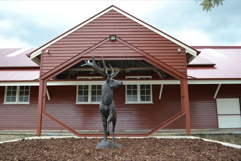 The Somerset Regional Art Gallery - The Condensery - Attractions Sydney 1