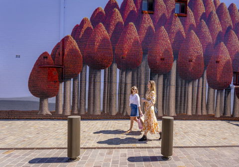 The Bourke Street Link - Attractions Sydney 0
