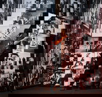 The Vanguard - Attractions Sydney