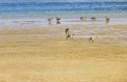 Towra Beach - Attractions Sydney 0