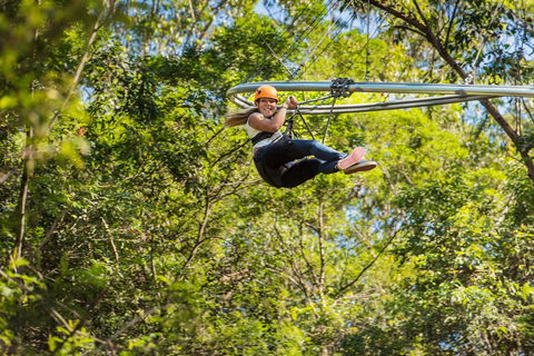 TreeTop Crazy Rider - Attractions Sydney 0