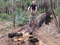 Turner Hill Mountain Bike Trail Murray