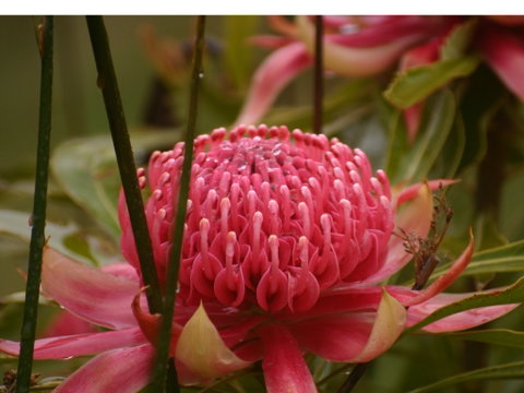Vortex Healing Centre - Attractions Sydney 2