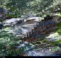 Washpools waterhole - Attractions Sydney