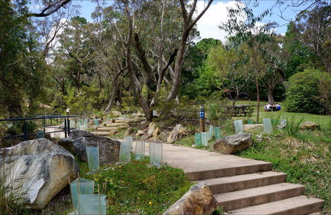 Wentworth Falls Picnic Area - Attractions Sydney 0