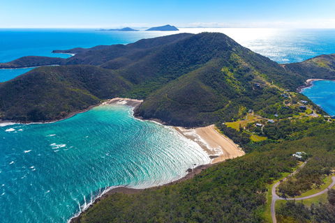 Whale Watching On Keswick Island - Attractions Sydney 1