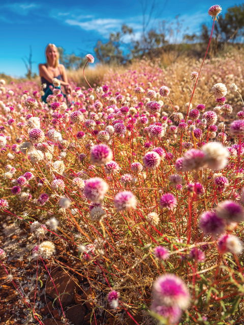 Wineries And Wildflowers - Attractions Sydney 0
