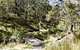 Wollomombi Walking Track - thumb 0