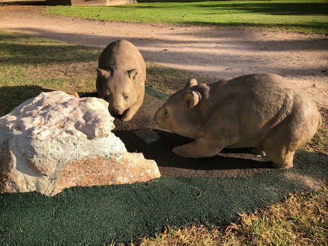 Wombat Statues, Moonta - Attractions Sydney 0