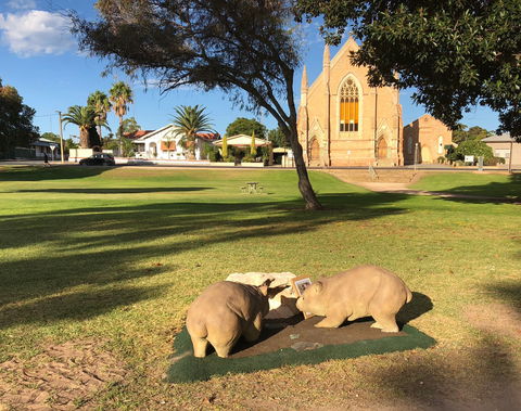 Wombat Statues, Moonta - Attractions Sydney 2