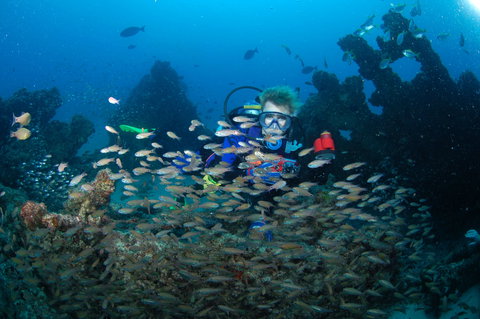 Aarhus Dive Site - Attractions Sydney 0