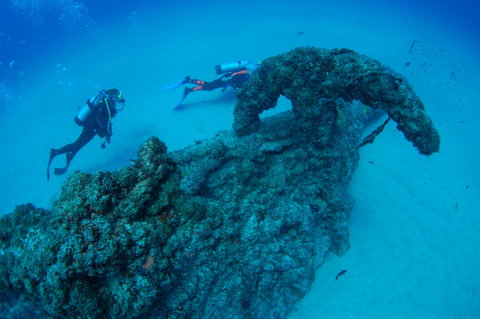 Aarhus Dive Site - Attractions Sydney 1