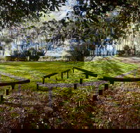 Aboriginal Bora Ring - Attractions Sydney