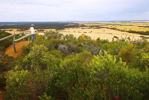 Archer Drive Scenic Drive And Lookout - Attractions Sydney 0