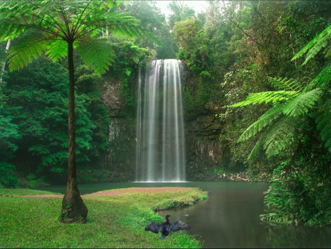 Atherton Tablelands - Attractions Sydney 0