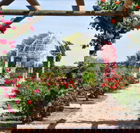 Australian Inland Botanic Gardens - Attractions Sydney