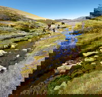 Australian Alps Walking Track - Attractions Sydney
