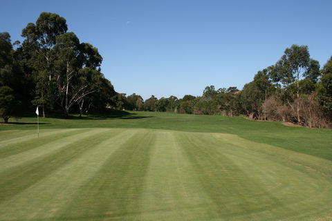 Bardwell Valley Golf Club Ltd - Attractions Sydney 2