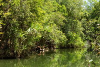 Berry Springs Nature Park