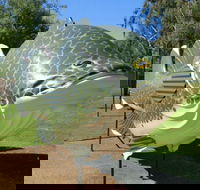 Big Murray Cod - Attractions Sydney