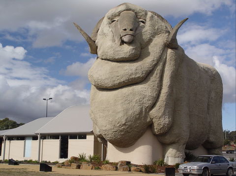 Big Merino - Attractions Sydney 0