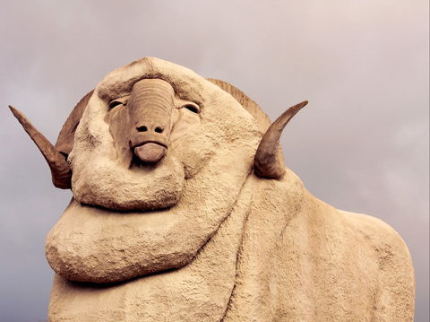 Big Merino - Attractions Sydney 1